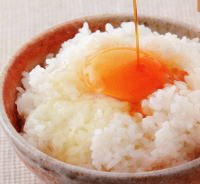 Amazon.co.jp: 令和7年産 新米 石川県産 自然農法米 こしひかり「天の